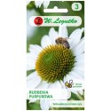 Jeżówka biała - rudbekia purpurowa W.Legutko