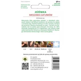 Jeżówka - mieszanka gatunków W.Legutko