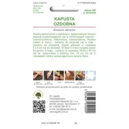 Kapusta ozdobna mieszanka W.Legutko
