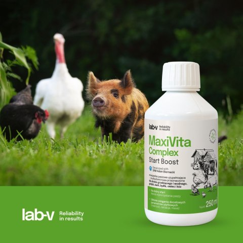 Lab-v MaxiVita Complex — płynna multiwitaminowa mieszanka paszowa uzupełniająca dla drobiu, gołębi i zwierząt gospodarskich, 100 LAB-V