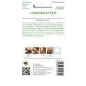 Lewkonia letnia - barwna mieszanka W.Legutko