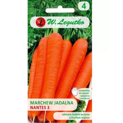 Marchew jadalna 'Nantes 3' (Nantejska) - odmiana średnio wczesna W.Legutko