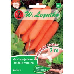 Marchew jadalna 'Nantes 3' (Nantejska) - średnio wczesna W.Legutko