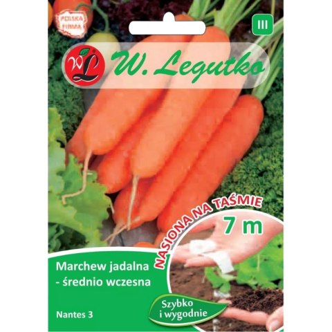 Marchew jadalna 'Nantes 3' (Nantejska) - średnio wczesna W.Legutko