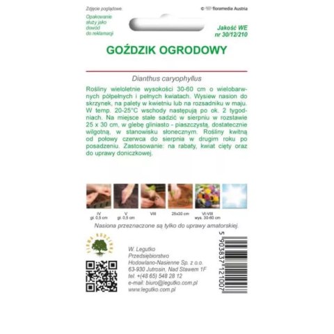 Nasiona goździka ogrodowego mieszanka kolorów W.Legutko