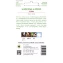 Nasiona marchwi Koral, odmiana późna W.Legutko