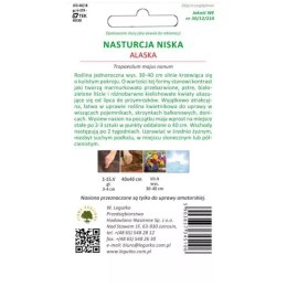 Nasturcja 'Alaska' - niska, o pstrych liściach, mieszanka kolorów W.Legutko