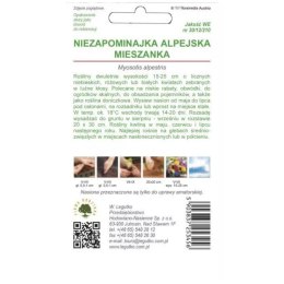Niezapominajka alpejska mieszanka W.Legutko