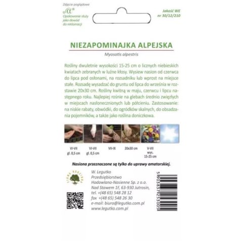 Niezapominajka alpejska - odmiana niebieska W.Legutko