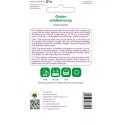 Owies Wielkanocny W.Legutko
