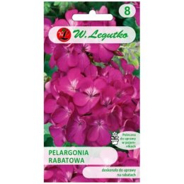 Pelargonia rabatowa 'Gama F1' - kwiaty fioletowe W.Legutko