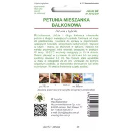 Petunia ogrodowa o pędach zwisających - mieszanka balkonowa W.Legutko