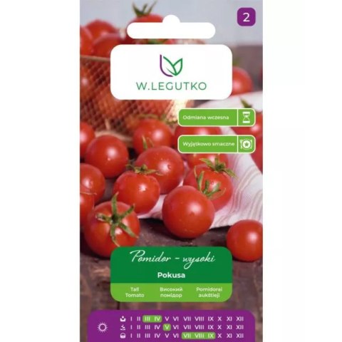Pomidor gruntowy wysoki Pokusa - owoce typu"cherry", wczesna W.Legutko