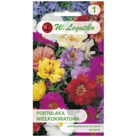 Portulaka wielkokwiatowa - mieszanka półpełna W.Legutko