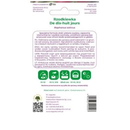 Rzodkiewka De dix-huit jours W.Legutko