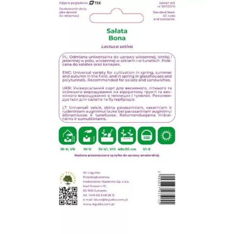 Sałata głowiasta masłowa 'Bona' - odmiana wczesna, żółtawozielona W.Legutko