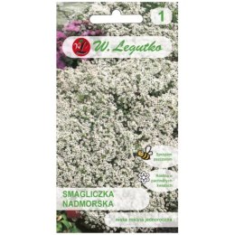 Smagliczka nadmorska - odmiana biała W.Legutko