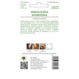 Smagliczka nadmorska - odmiana biała W.Legutko