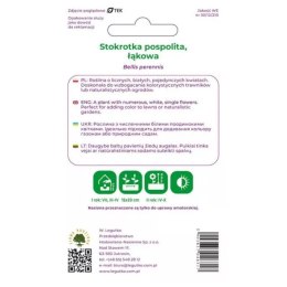 Stokrotka pospolita łąkowa biała - nasiona W.Legutko