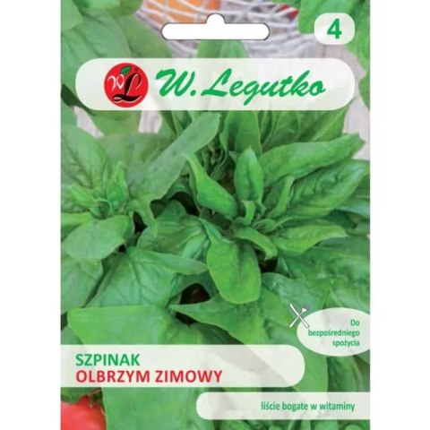 Szpinak Olbrzym Zimowy W.Legutko
