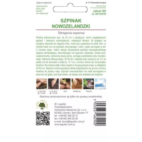 Szpinak nowozelandzki (trętwian) W. Legutko W.Legutko