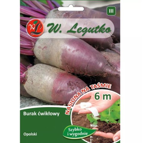 Burak ćwikłowy Opolski cylindryczny — nasiona W.Legutko
