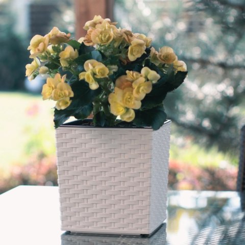 Donica JUKA 250x250 rattan - biały LAMELA
