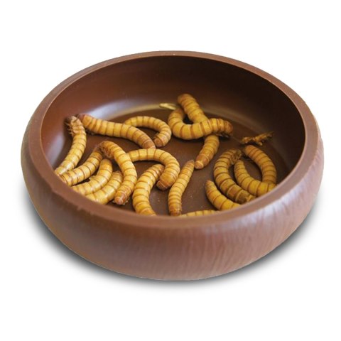 Komodo Mealworm Dish - miska na żywy pokarm Komodo