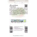 Lawenda lekarska - sadzonka do ogrodu W.Legutko