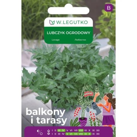Nasiona lubczyku ogrodowego do ogrodu W.Legutko