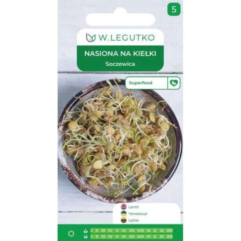 Nasiona na kiełki - soczewica W.Legutko