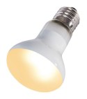 Repti-Zoo Beam Spot 50W - żarówka grzewcza punktowa Repti-Zoo