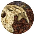 Repti-Zoo Crocodile Skull M - czaszka krokodyla Repti-Zoo