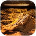 Repti-Zoo Mini Daylight Spot NANO 25W - żarówka grzewcza 2 sztuki Repti-Zoo