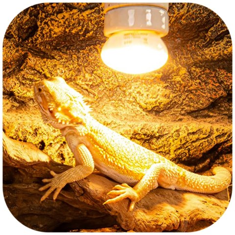 Repti-Zoo Mini Daylight Spot NANO 25W - żarówka grzewcza 2 sztuki Repti-Zoo