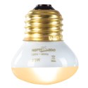 Repti-Zoo Mini Daylight Spot NANO 25W - żarówka grzewcza 2 sztuki Repti-Zoo