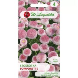 Stokrotka pospolita 'Pomponette' różowa W.Legutko