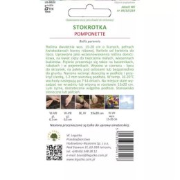 Stokrotka pospolita 'Pomponette' różowa W.Legutko