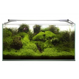 Aquael Leddy Slim 32W Plant 80-100 Czarny 2.0 Aquael