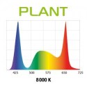 Aquael Leddy Slim 32W Plant 80-100 Czarny 2.0 Aquael