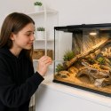Aventerra Sweden CLAWEY ARC 20cm - pęseta stalowa zagięta Aventerra