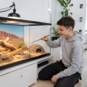Aventerra Sweden CLAWEY ARC 30cm - pęseta stalowa zagięta Aventerra