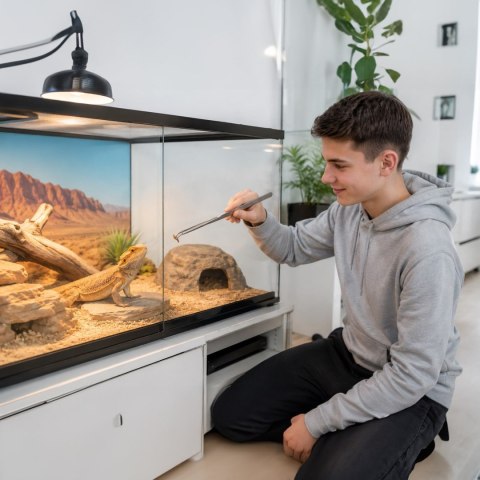 Aventerra Sweden CLAWEY ARC 30cm - pęseta stalowa zagięta Aventerra