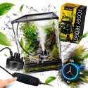 Aventerra Sweden FOGGY FROGGY - generator mgły z timerem Aventerra