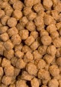 Ocean Nutrition Atison,s Betta Food 15g (pokarm dla bojowników) Ocean Nutrition