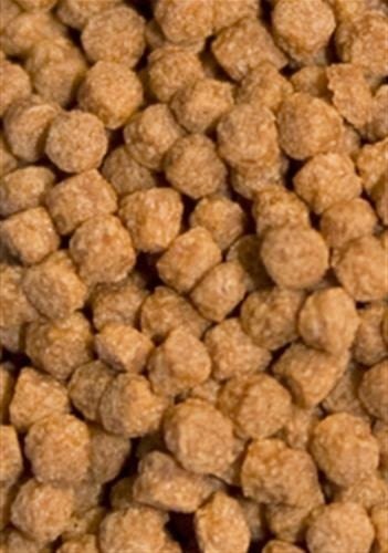 Ocean Nutrition Atison,s Betta Food 15g (pokarm dla bojowników) Ocean Nutrition