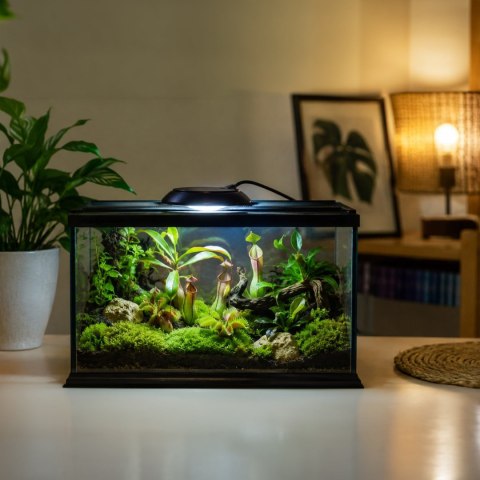 Terrario Nanoray Mini LED 6W - oświetlenie do terrarium 3w1 Terrario