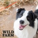 WILD FARM Paluszki Z Kaczką I Ryżem Przysmak Dla Psa 500G Wild Farm