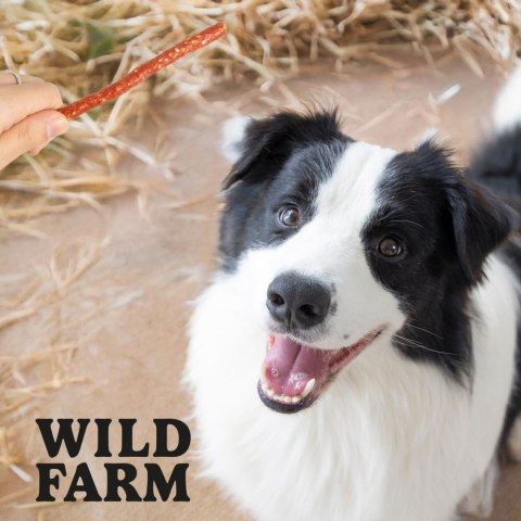 WILD FARM Paluszki Z Kaczką I Ryżem Przysmak Dla Psa 500G Wild Farm