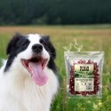 WILD FARM Rollsy Z Kaczki Przysmak Dla Psa 500G Wild Farm